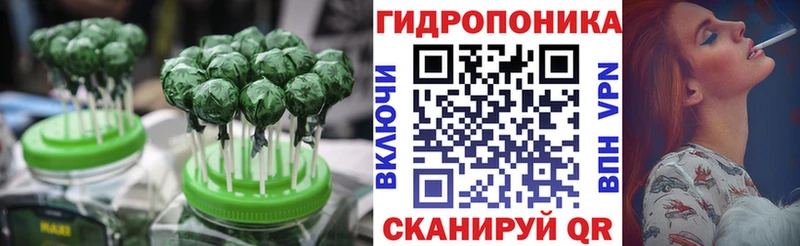 Canna-Cookies марихуана где найти Кочубеевское