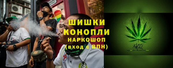 дмт Алзамай