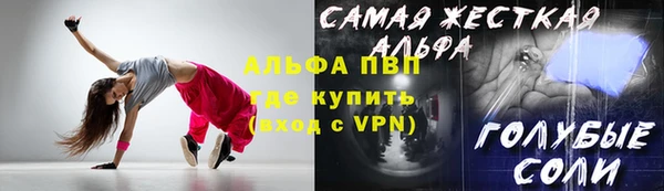индика Орехово-Зуево