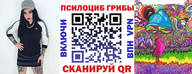 купить наркотики цена Кочубеевское Галлюциногенные грибы Magic Shrooms
